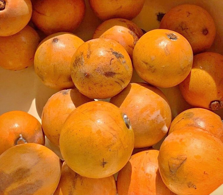 What Are The Importance Of Consuming Agbalumo