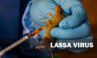 How to Protect Yourself From Contracting Lassa Fever