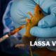 How to Protect Yourself From Contracting Lassa Fever