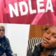 Why Zinoleesky and Mohbad Was arrested By NDLEA