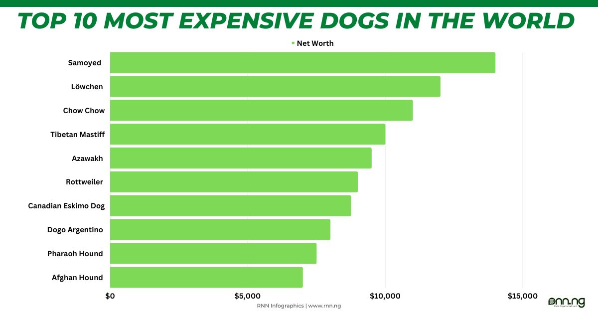what is the least expensive dog in the world