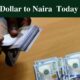 Dollar to Naira Today Exchange Rate , 20th May 2022