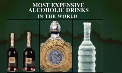 Top 10 Most Expensive Alcoholic Drinks In the World (2022)