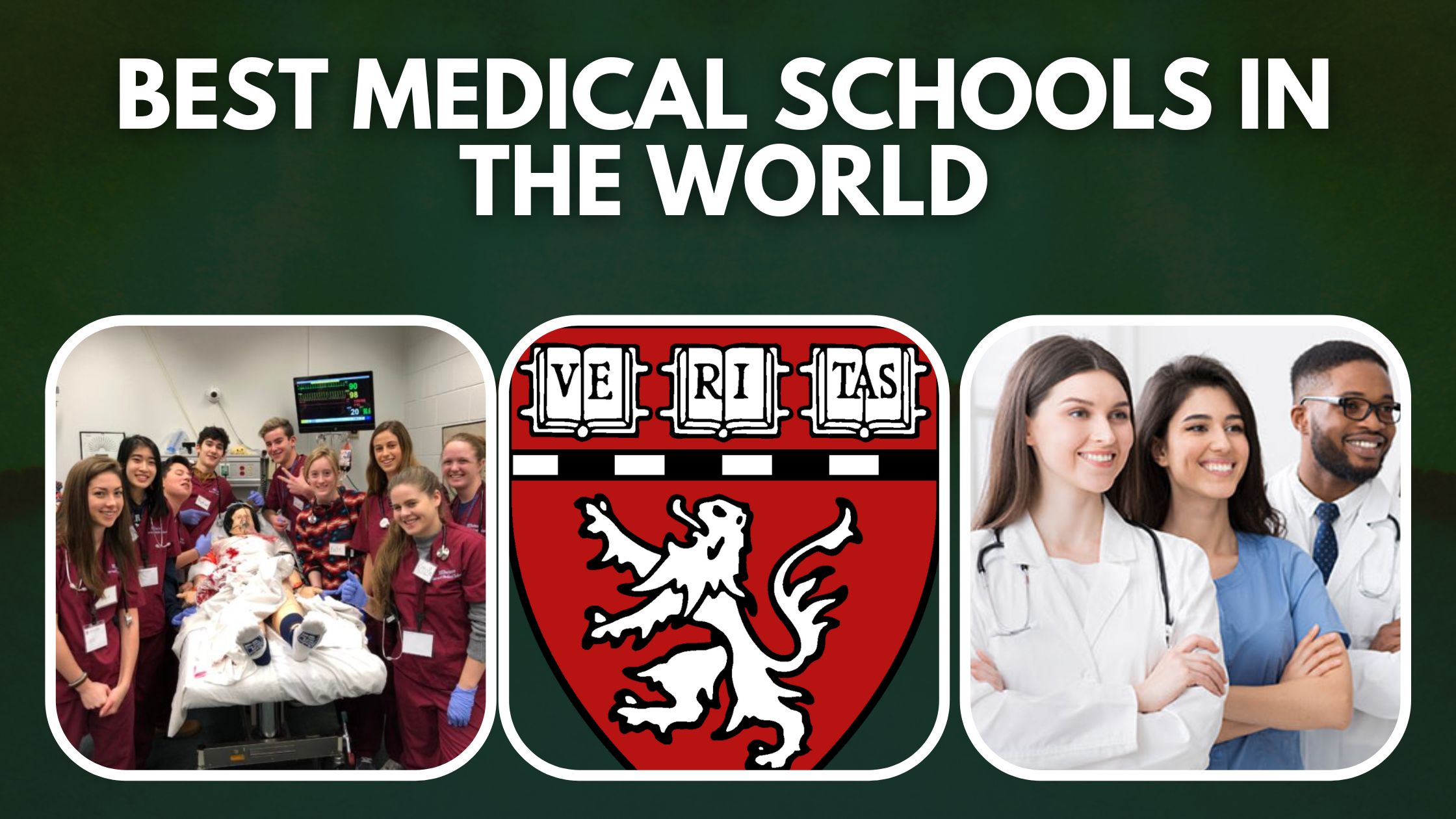 Top 10 Best Medical Schools In The World 2022 