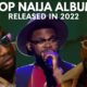 Top Naija Albums Released in 2022