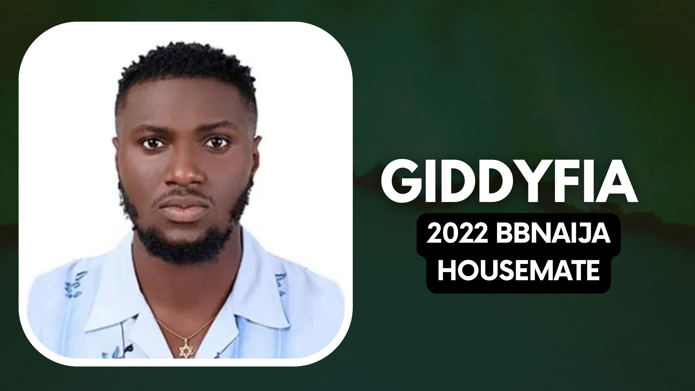 Giddyfia BBNaija Biography and Networth