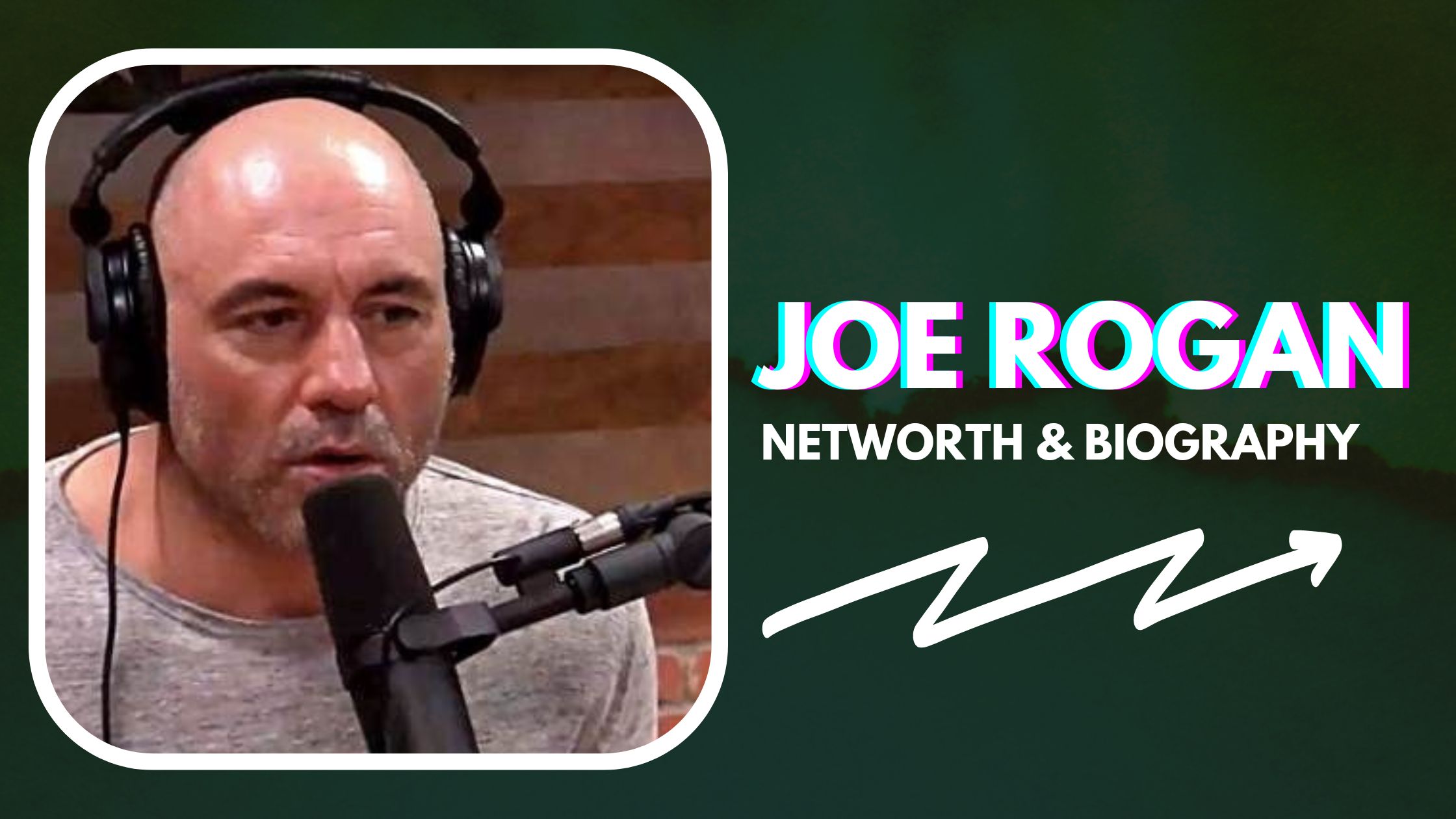 Joe Rogan's Net Worth And Biography