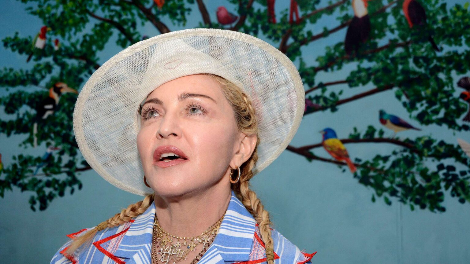 Madonna Net Worth And Biography