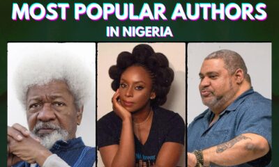 Most Popular Authors in Nigeria