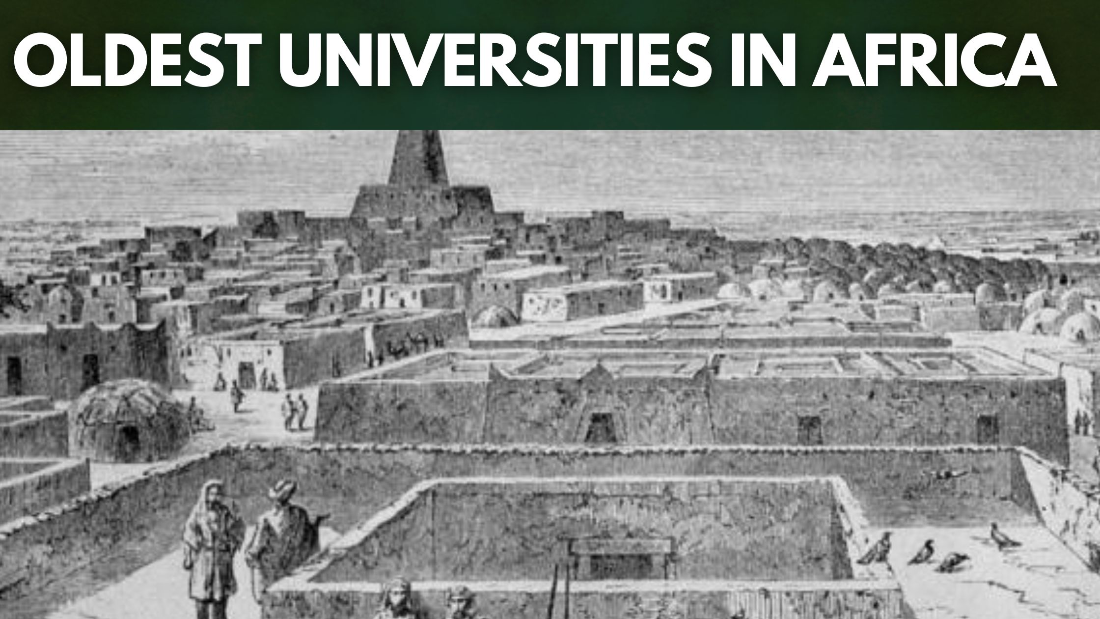 Oldest Universities in Africa
