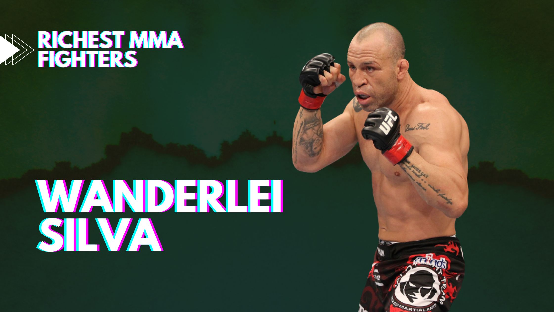 Wanderlei Silva - Richest MMA fighters