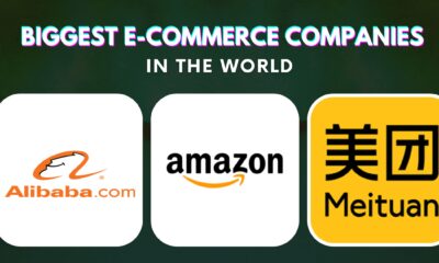 Top 10 Biggest E-Commerce Companies in The World (2022)