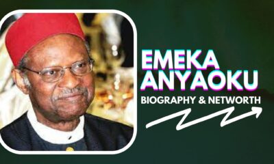 Emeka Anyaoku biography and net worth