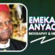 Emeka Anyaoku biography and net worth