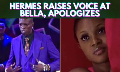 Hermes Raises Voice At Bella, Apologizes