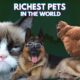 Richest pets in the world