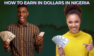 how To Earn In Dollars In Nigeria