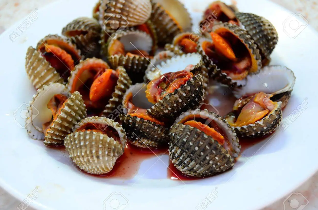Blood Clams