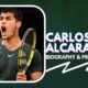 https://www.celebritynetworth.com/richest-athletes/richest-tennis/carlos-alcaraz-net-worth/