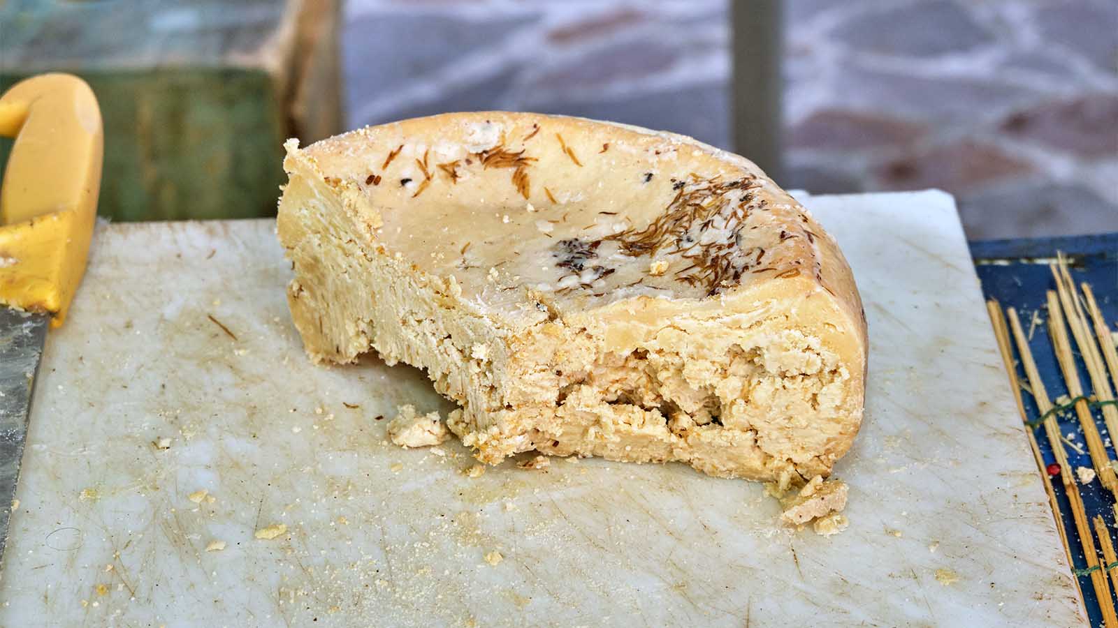 Casu Marzu