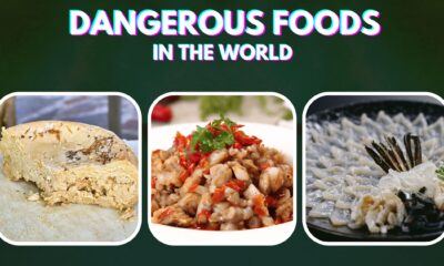 Dangerous Foods in The World