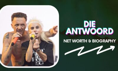 Die Antwoord Net Worth and Biography