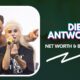 Die Antwoord Net Worth and Biography