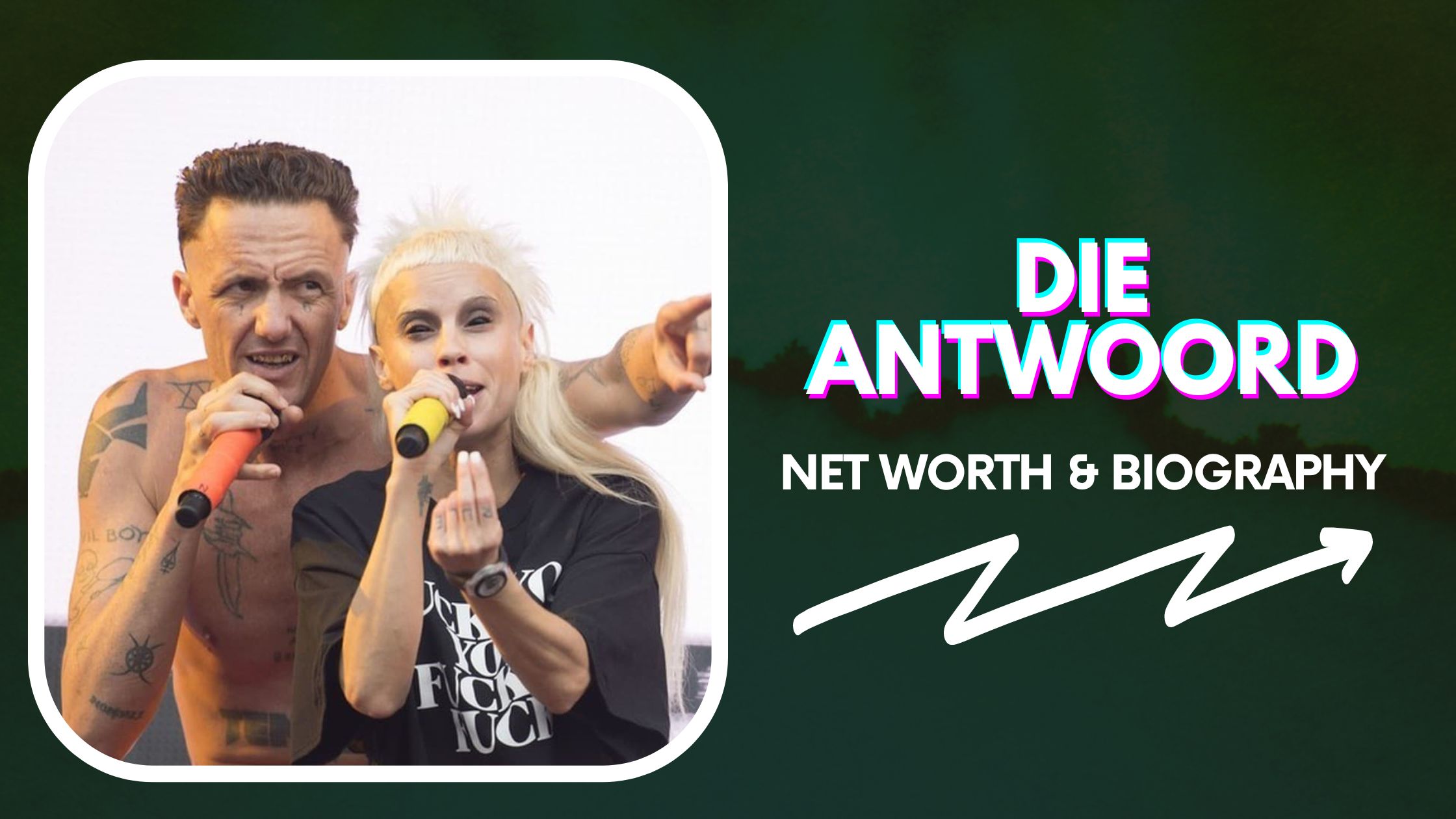 Die Antwoord Net Worth and Biography