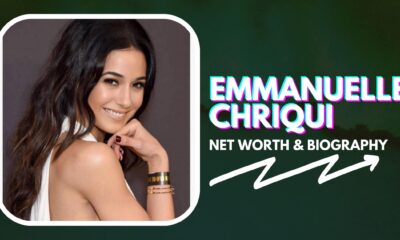 Emmanuelle Chriqui Net Worth And Biography