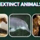 Top 10 Extinct Animals