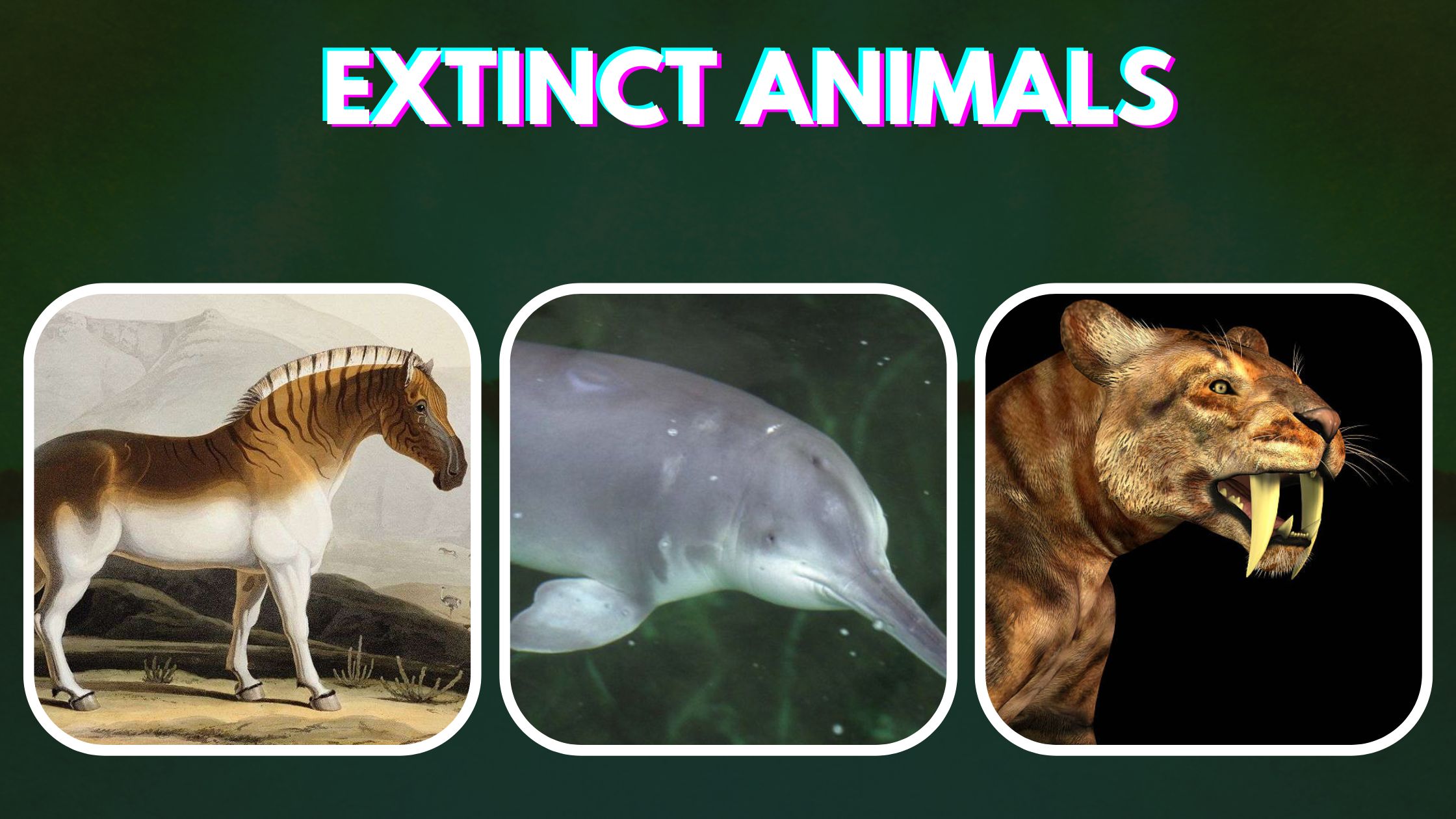 Top 10 Extinct Animals