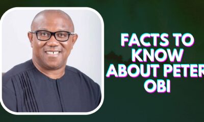 Facts To Know About Peter Obi