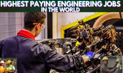 Highest Paying Engineering jobs in the world