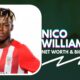 Nico Williams Net Worth and Biography