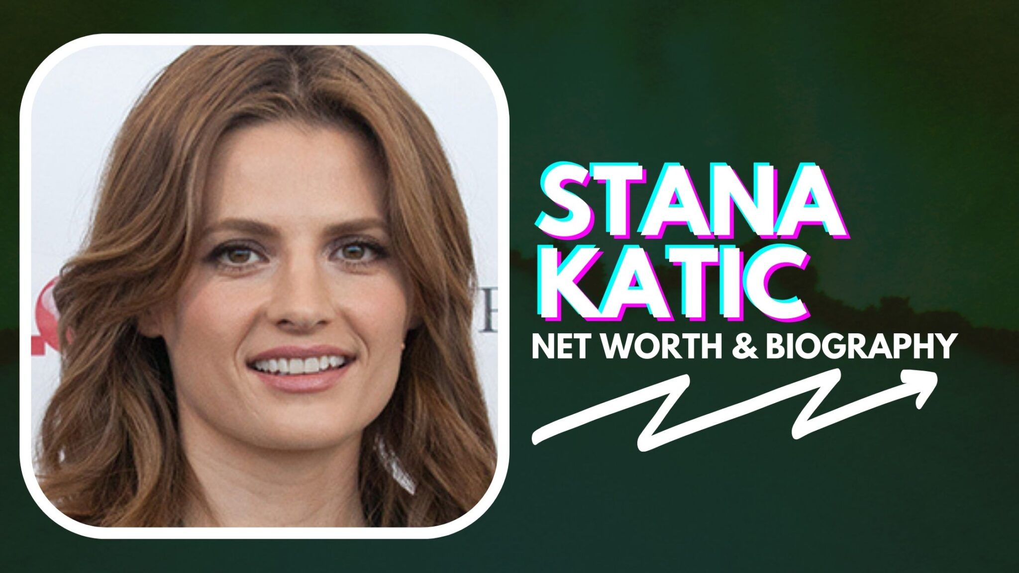 Stana Katic Net Worth And Biography