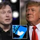 Elon Musk May Reinstate Trump's Twitter Account