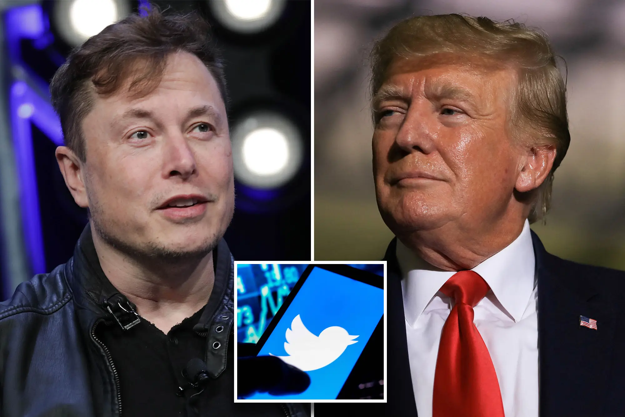 Elon Musk May Reinstate Trump's Twitter Account