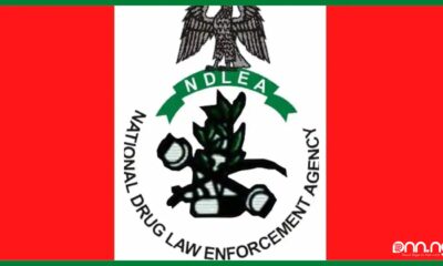 Over 10 Million Nigerians Abuse Drugs- NDLEA