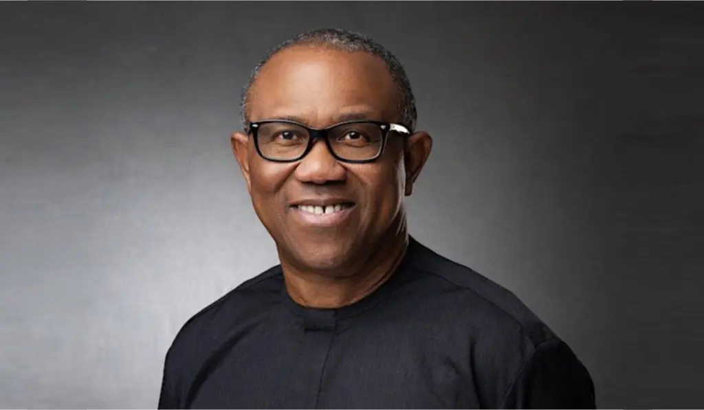 Peter Obi Justifies 'Obidients' Uncouth Behavior On Social Media