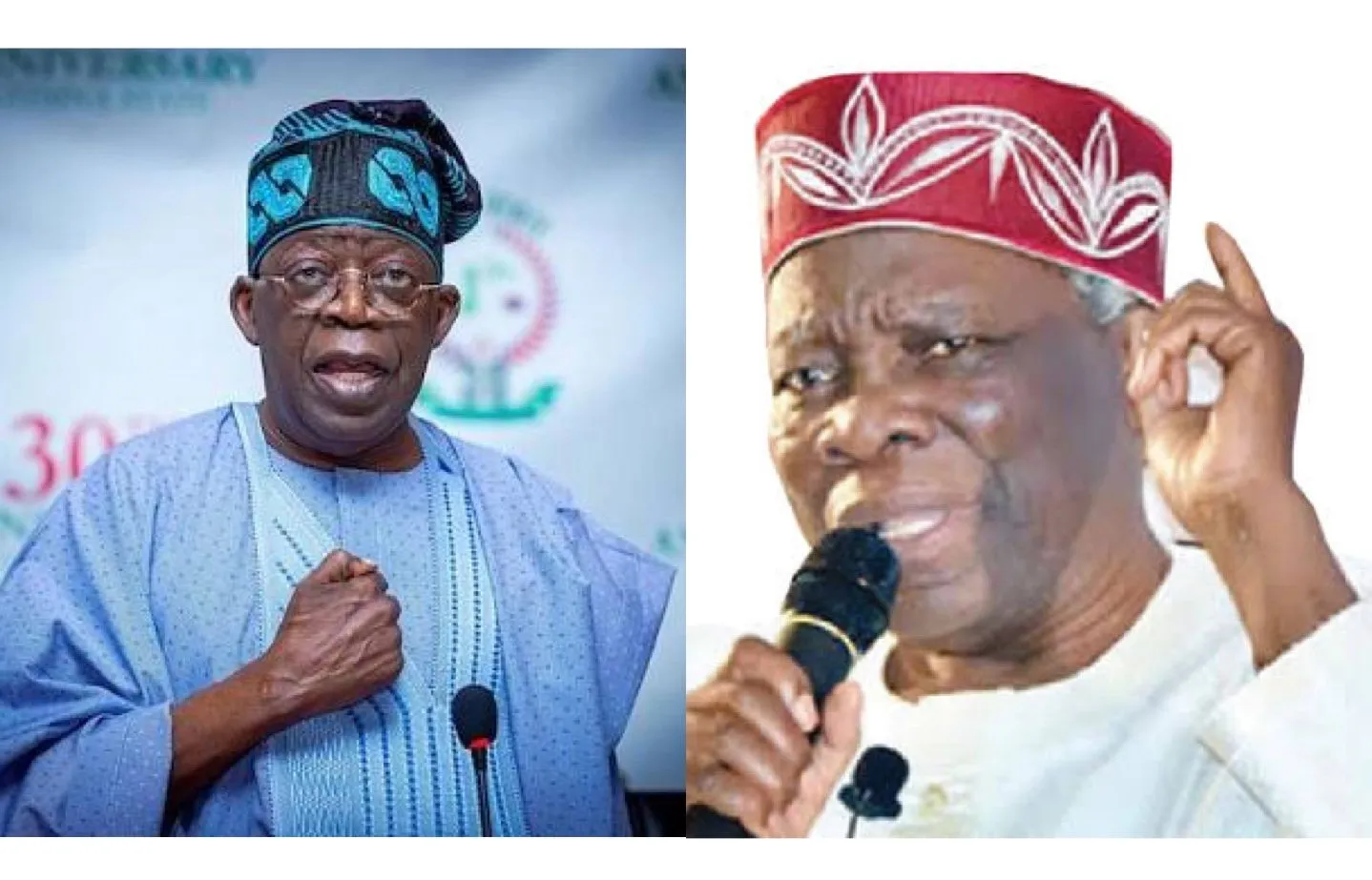 2023: Tinubu threatened to destroy our movement - Akintoye