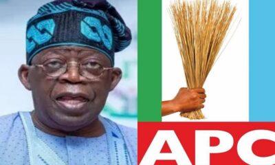 APC has set good precedent for tinubu to run - APC campaign spokesman Ngelale