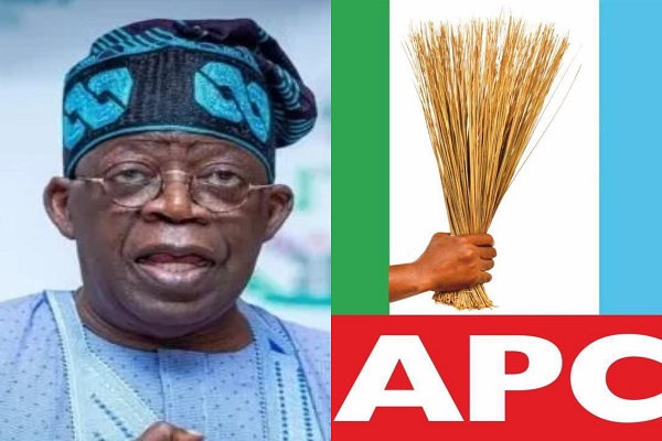 APC has set good precedent for tinubu to run - APC campaign spokesman Ngelale