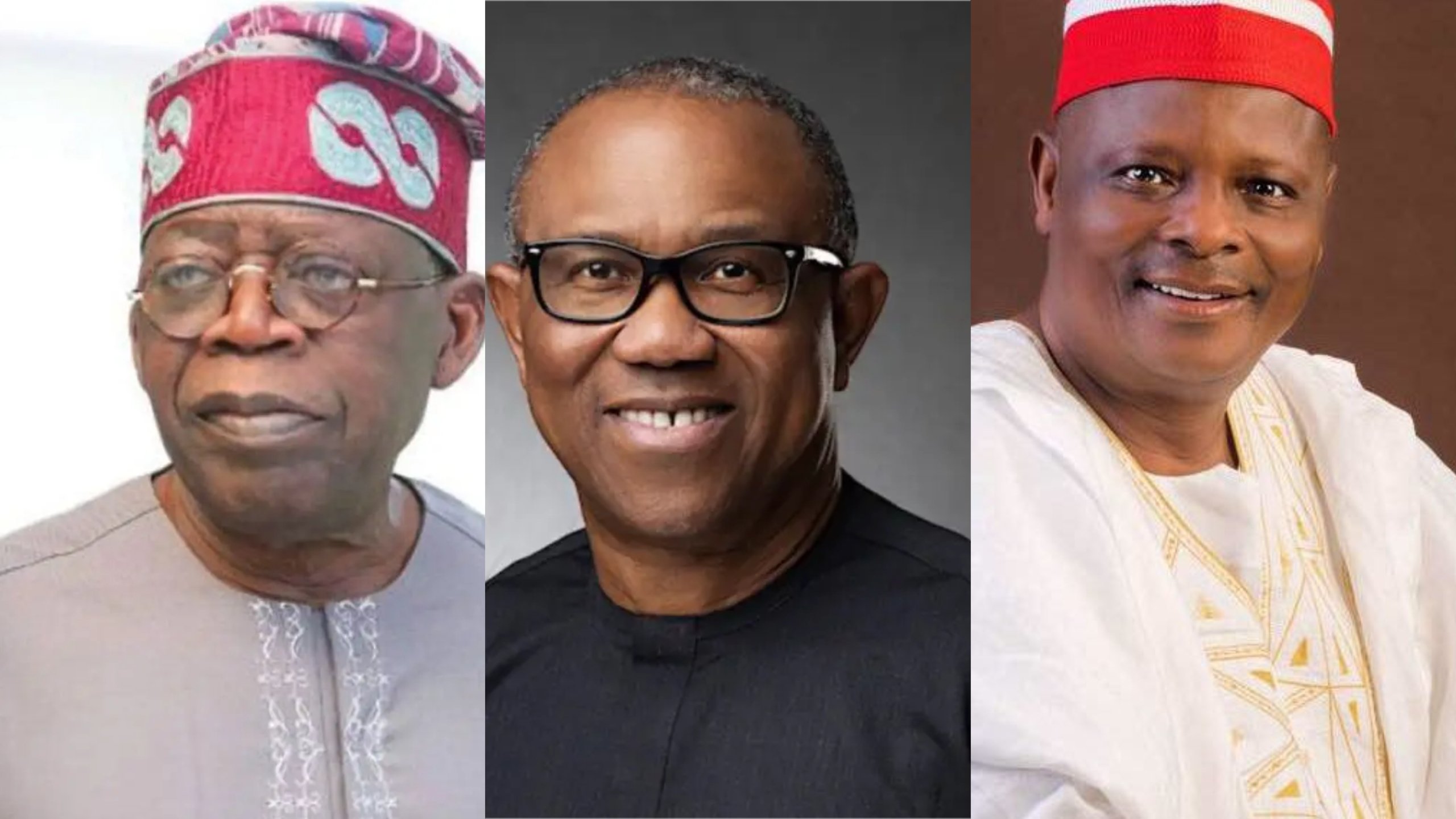 Tinubu to win Lagos, Obi to win Rivers, Kwankwaso to win Kano - Moghalu gives prediction