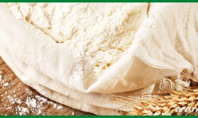 FG should subsidise cassava flour costs