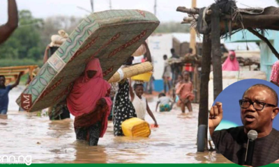 FG shown no compassion to flood victims – Peter Obi