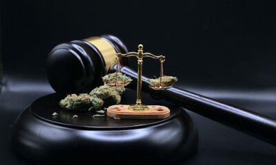 Is Weed Legal in Nigeria? Why Isn’t It?
