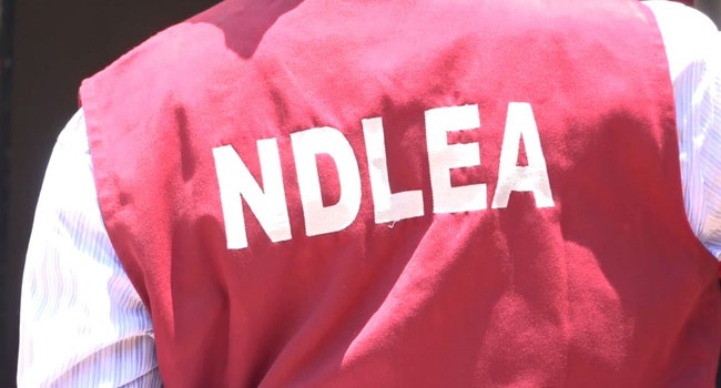 32 year old female drug trafficker nabbed enroute Dubai - NDLEA