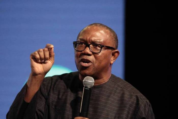 June 12: Our democracy is in deep trouble – Peter Obi laments