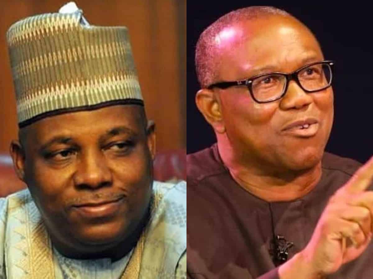 Remarks against Obi: Call Shettima to order - LP