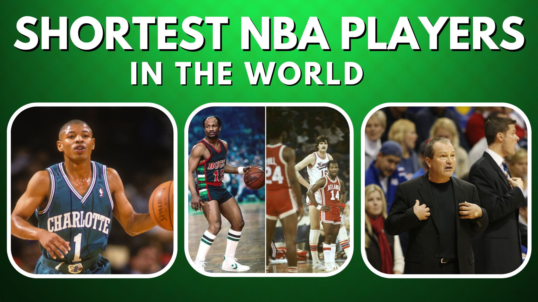 Top 10 Shortest NBA Players In The World